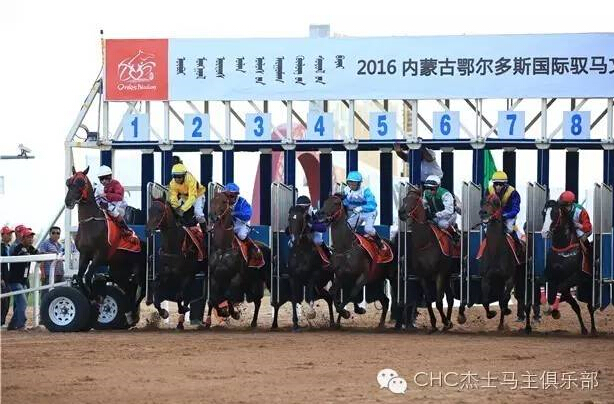 驭马奔腾 助力体育强国民族梦——CECF鄂尔多斯驭马文化节圆满收官 8.jpg