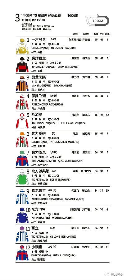 玉龙马业,国产马赛事,玉龙公开赛,赛马,马术,玉龙赛马 (10).jpg