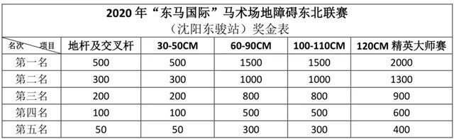 东北马术闪亮登场 (6).jpg
