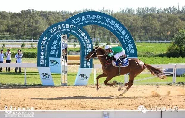 《马上聚焦》玉龙赛马日视频全记录+竞猜游戏中奖名单 10.jpg