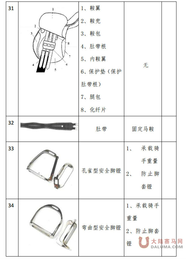 马术项目骑手分级管理实施细则9.jpg