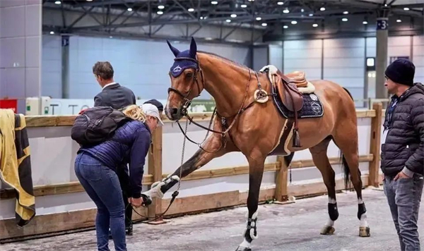 青马课堂:英女王的马儿也不听话?3招教你解决! 大陆马 (3).jpg