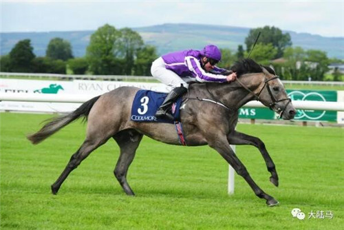 谁的子嗣是欧洲赛场2200-2600米王者?“伽利略”父子当仁不让8.jpg