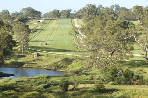 布局竞赛马匹繁育长远计划 高银地产收购澳洲马场