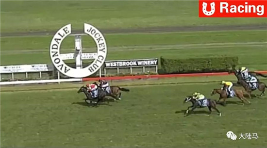 莱德马业旗下赛马“蒙古元帅”春节期间在新西兰获胜-大陆赛马网.jpg