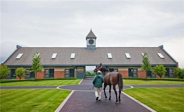 酋长的赛马生意经:旗下澳洲种马同时配种一次,秒赚270万 大陆赛马网 (2).jpg