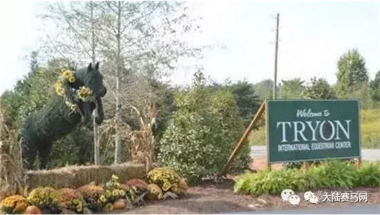 2018世界马术运动会官方LOGO揭晓 创意宣传片出炉03.jpg