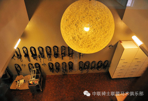 中联骑士联盟带你走进“最好的马场”—荷兰阿卡狄亚马场3.jpg