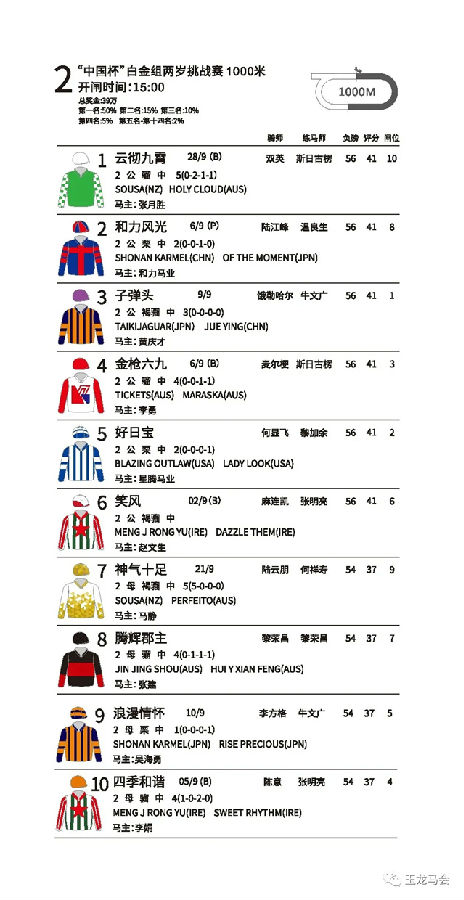 玉龙马业,国产马赛事,玉龙公开赛,赛马,马术,玉龙赛马 (3).jpg