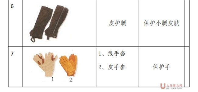 马术项目骑手分级管理实施细则13.jpg