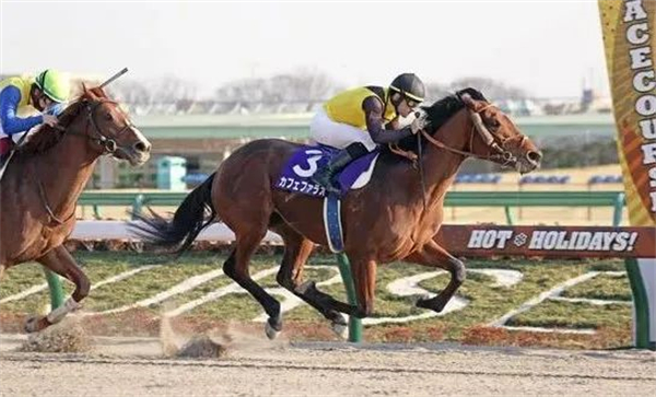 放开配种数量:美国肯塔基取消种马一年配种140匹母马的上限规定丨全球赛马一周精彩呈现 大陆马 (5).jpg