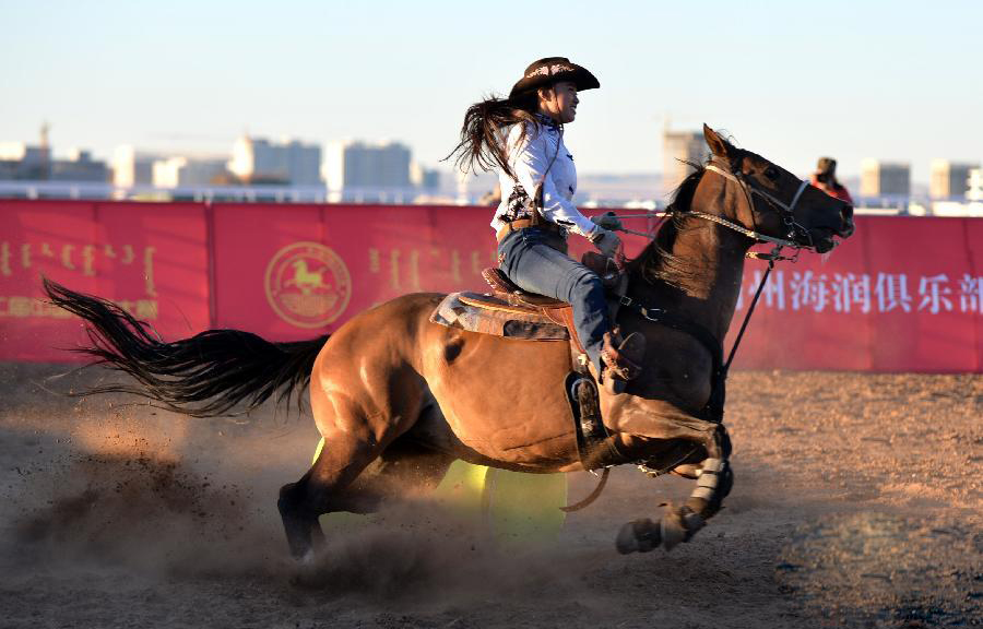 第二届中国马术大赛开幕 200骑手争夺140万元奖金 大陆赛马网