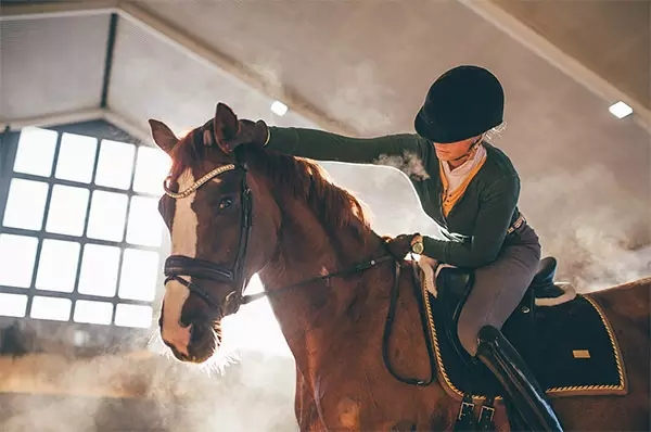 青马商城马术课堂:骑马训练中的8要素你知道么? 青马网大陆马.jpg