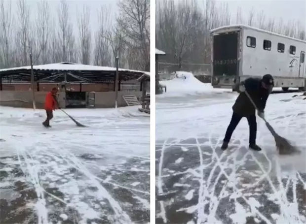 CKUR中联骑士联盟马术教练张雷鸣分享:疫情下留守马场至今的教练们,说好的交接班呢? 青马网大陆马 (2).jpg