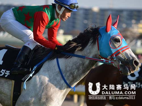 日本40岁知名骑师上吊自杀 或为爱马殉情 大陆赛马网1.jpg