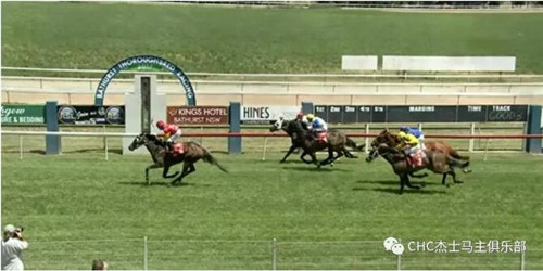 CHC上周末再传捷报:三岁雌马“萨顿森林”澳洲获生涯首冠2.jpg