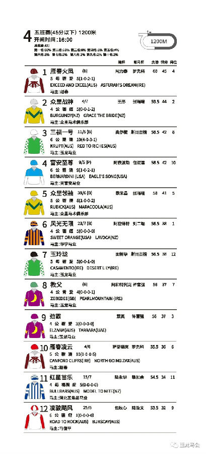 玉龙马业,国产马赛事,玉龙公开赛,赛马,马术,玉龙赛马 (11).jpg