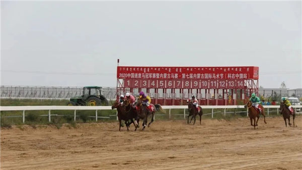 2020年全国速度马公开赛:“一鸣越影”激战全国冠军“大谦十一郎”强势登顶 大陆赛马网 (1).jpg