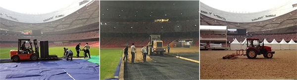 北京威斯恩国际马术设备有限公司:中国马术设备领军企业! 大陆马 (15).jpg