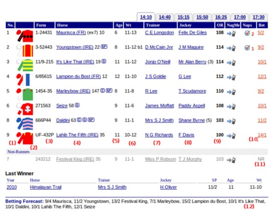 迪拜赛马观赛入门指南—Race Card大揭秘 大陆赛马网 3