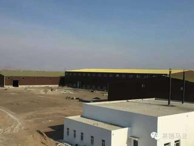 新西兰专家组进驻莱德饲料加工厂 5.jpg