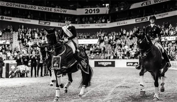 17岁马术世界杯三冠王“黑美人”正式退役 大陆马 (3).jpg