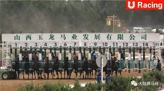 法国赛马会等机构将赞助支持山西玉龙国际赛马公开赛-大陆赛马网.jpg