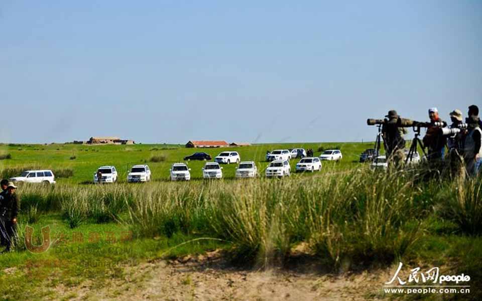 内蒙古领导驾豪车集体遮挡车牌出游拍马（组图） 