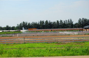 中联骑士联盟马术俱乐部东坝马场