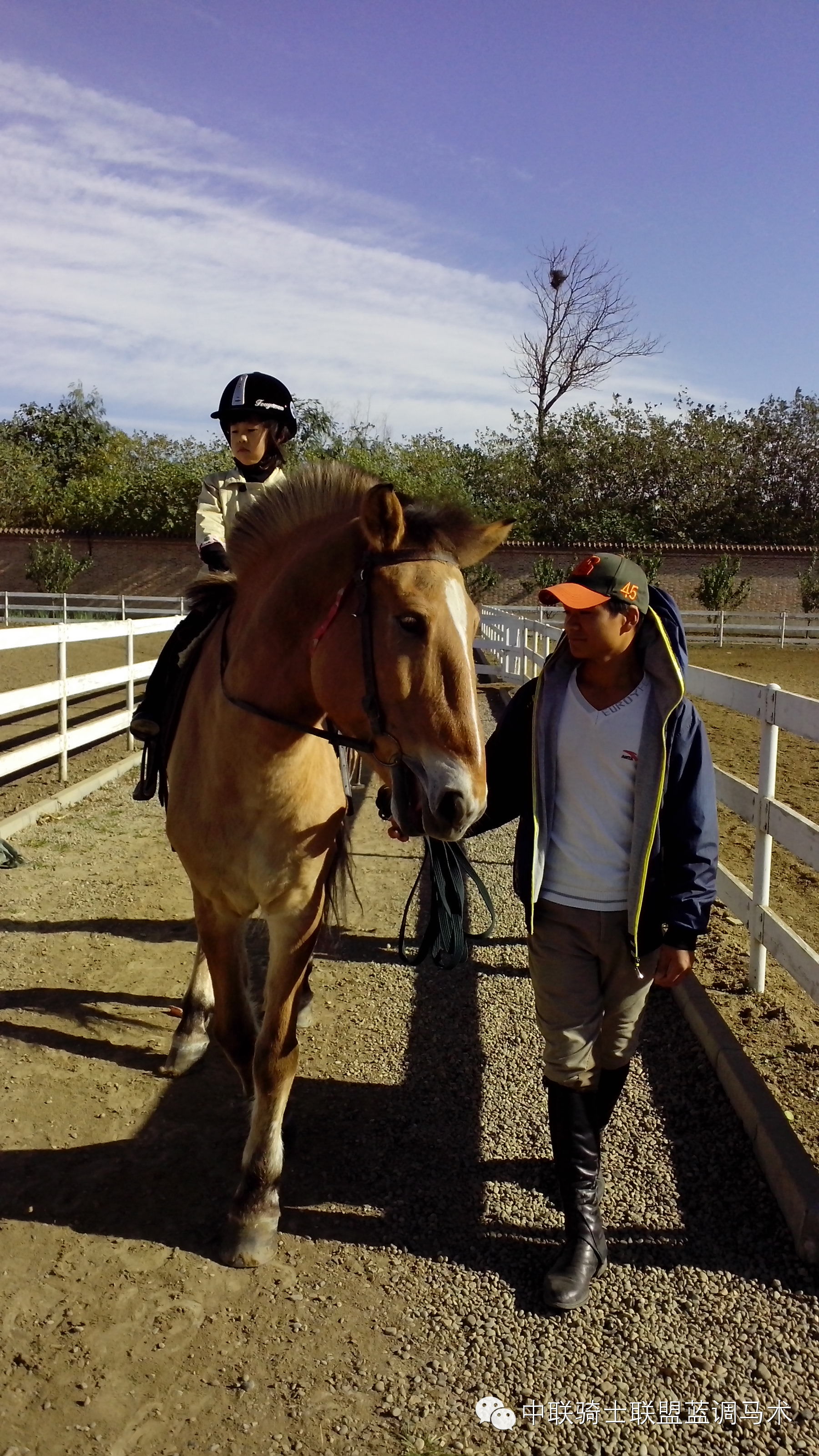 周末休闲 亲子骑马正流行