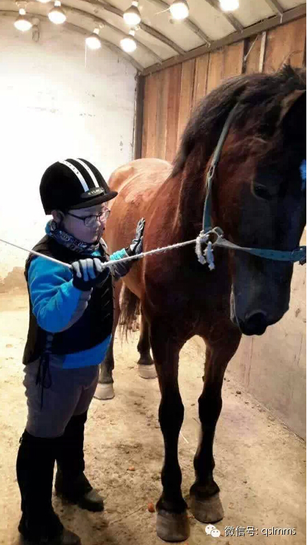 中联骑士联盟马术俱乐部​马术摄影活动公布获奖名单