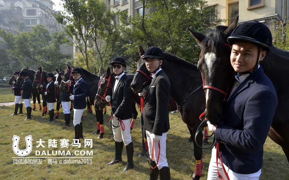 重庆新郎用8匹大黑马迎新娘 引居民穿睡衣围观拍照