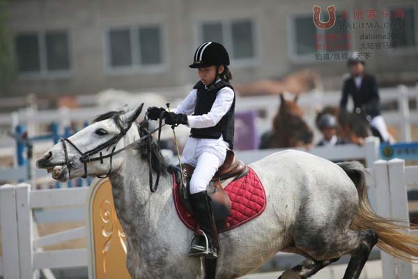 骑马的乐趣在于与马交流