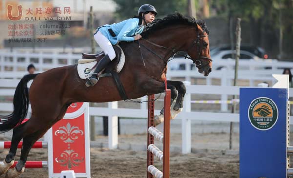 骑马让爱马之人结成“马背之交”