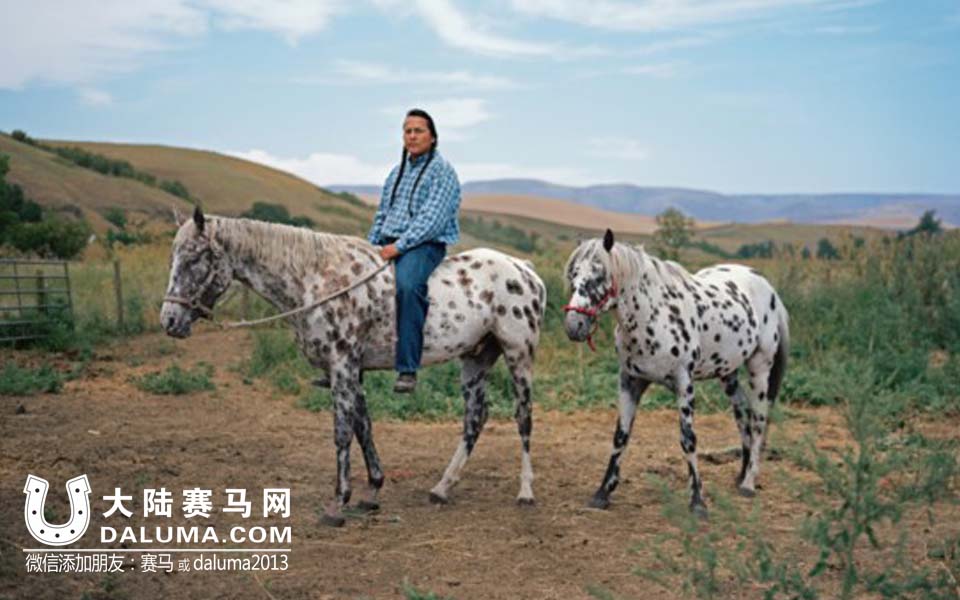 《国家地理》拍摄：走近与马相伴而生的印第安人