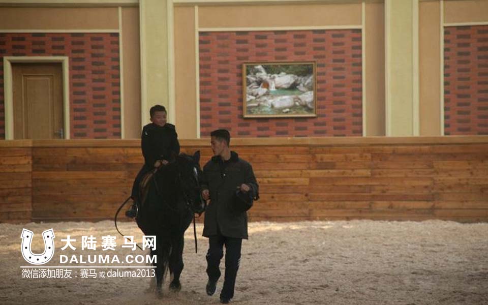 探访朝鲜美林马术俱乐部：陈列金正恩7岁时骑马照