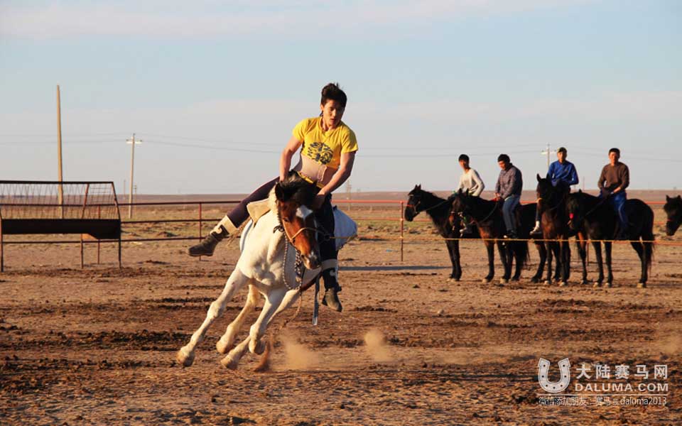 直击蒙古国马术训练 感受速度与激情之美