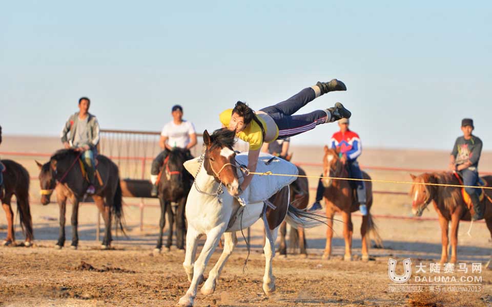 直击蒙古国马术训练 感受速度与激情之美